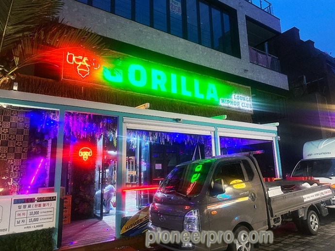 I-Gorilla-01.jpg